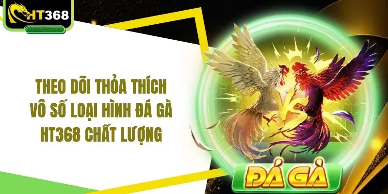 Theo dõi thỏa thích vô số loại hình đá gà HT368 chất lượng