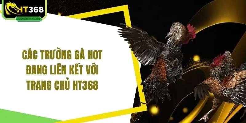 Các trường gà hot đang liên kết với trang chủ HT368