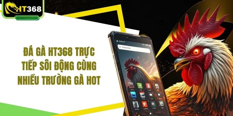 Đá gà HT368