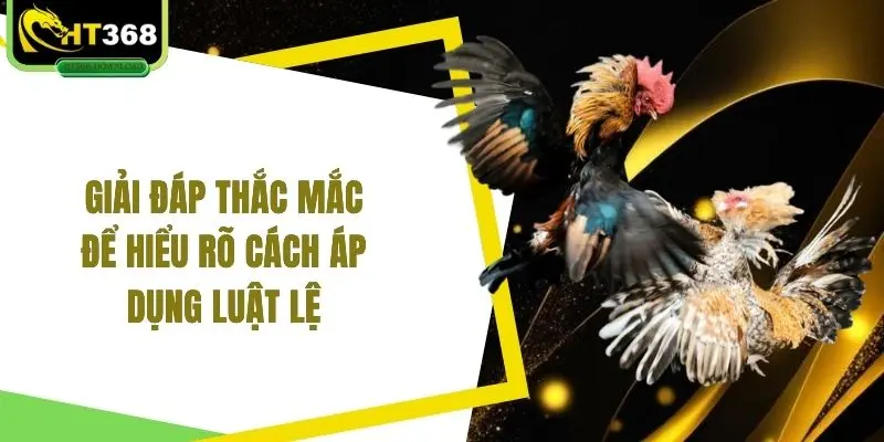 Giải đáp thắc mắc để hiểu rõ cách áp dụng luật lệ