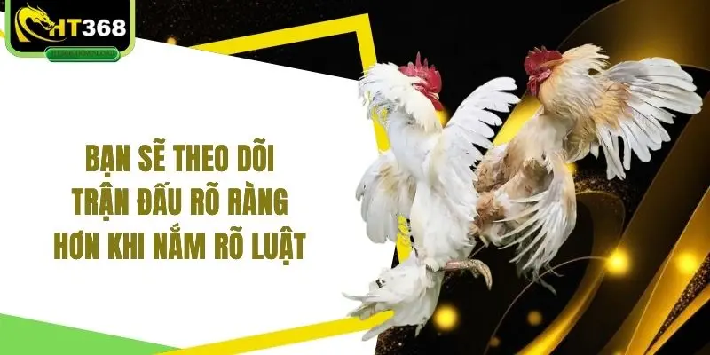 Bạn sẽ theo dõi trận đấu rõ ràng hơn khi nắm rõ luật