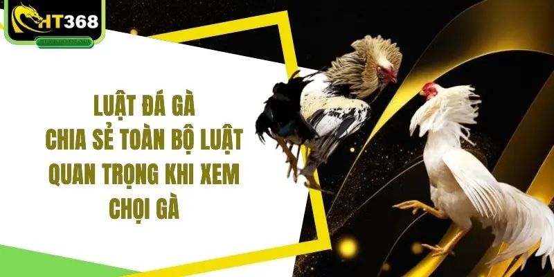 Luật đá gà